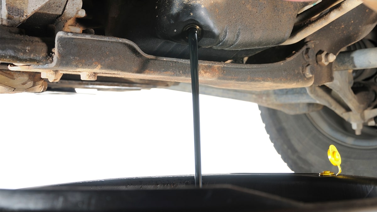 FLUSHING OILS